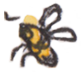 insect2
