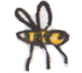 insect3