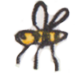 insect4